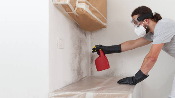 Professional Crawl Space Mold Remediation technician working in Williamston, MI