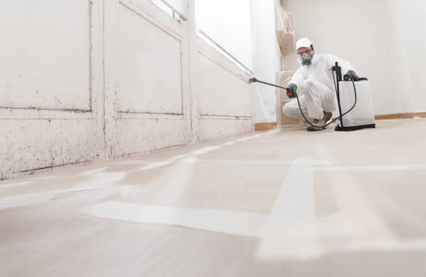 24/7 Emergency Crawl Space Mold Remediation experts in Williamston, MI